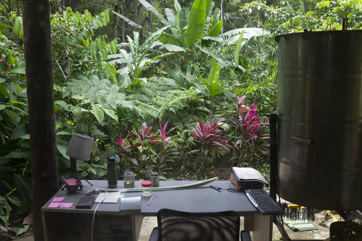Photo taken from behind a desk at Amisacho, an eco-stewardship project in the Ecuadorian Amazon. 